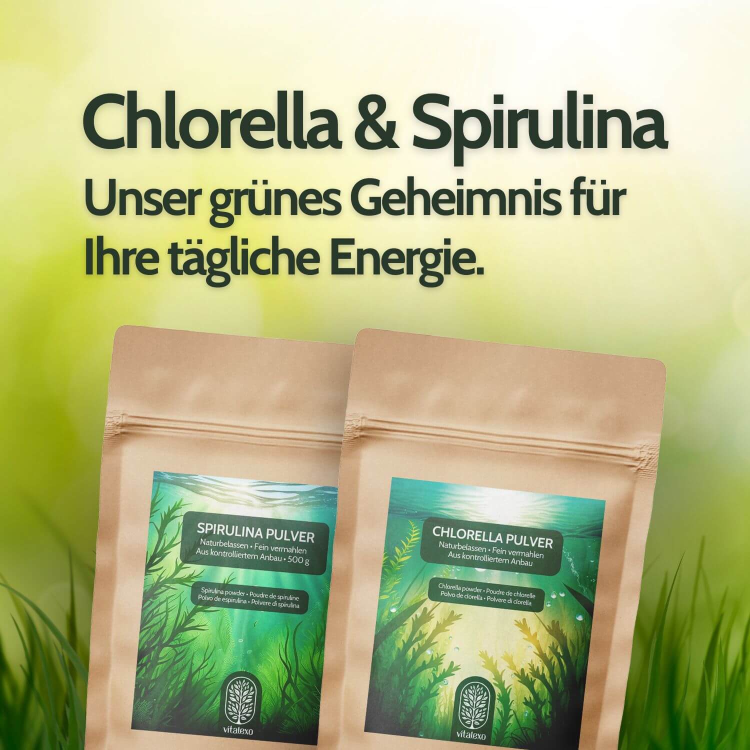 Zwei Chlorella und Spirulina Standbodenbeutel