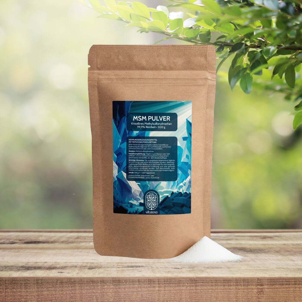MSM Pulver Organischer Schwefel kaufen
